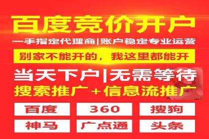 某电商平台的SEM推广策略全解析